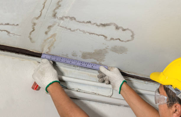 Reliable Structural Drying contractor in Roebling, NJ by Water Damage Irwin